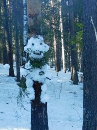 35 диковинных и неожиданных находок в лесу