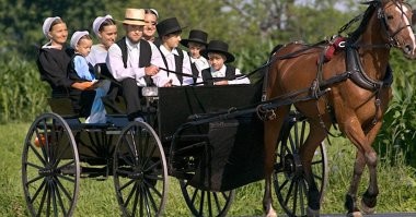 Амиши, они повсюду)