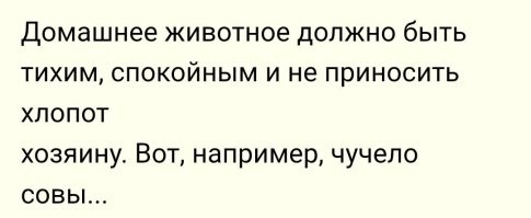 Комментарии и картинки из соцсетей. Свежак за 9 января