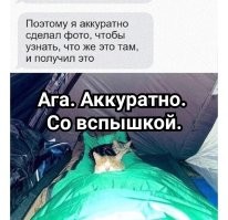 Фотоприколы и прикольные картинки