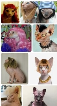 Купить ему парик.