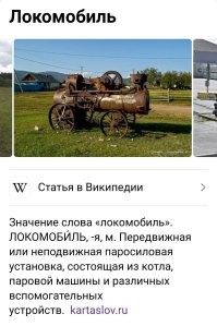 35 диковинных и неожиданных находок в лесу