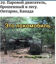 35 диковинных и неожиданных находок в лесу