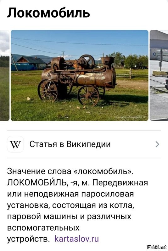 35 диковинных и неожиданных находок в лесу