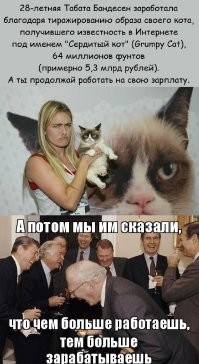 Можно осуждать, можно подумать о системе ценностей предоставленных современным обществом.
 Можно подумать - чего вы стоите в этом МИРЕ, если собаки и кошки зарабатывают больше Вас? 
 Художники, всё же проявили сначала талант, а потом на своём имени заработали деньги. Или кто-то на ИМЕНИ заработал деньги.
 Деньги - это не труд, а "попасть в струю" или "нае***ть.