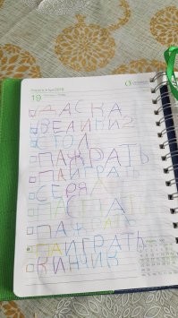 расписание дня шестилетнего ребенка (доска - рисовать мелом на доске, велики - кататься с кем-то, стол - заниматься за столом, серял - сериал про Машу и медведь. остальное понятно)