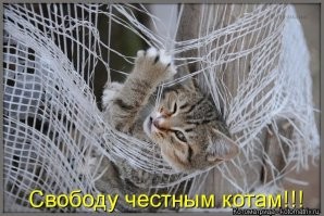 У кошки четыре ноги,
Позади нее длинный хвост.
Но трогать ее не моги
За ее малый рост, малый рост.:comando: