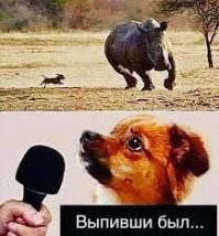 Дембельнуться и не познать все прелести службы, ну и...