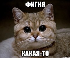«Неприглядные» картины, которые ушли с молотка аукциона за миллионы долларов