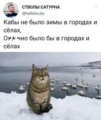 Интересно, а куда тогда картошку второго урожая складировать?