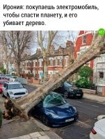 Это потому, что дерево оказалось умнее хозяина электроповозки. Оно понимает, что таким способом "спасти" планету невозможно.