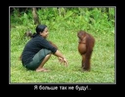 Про лобстеров и прочих омаров