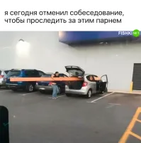 Некоторые еще тупее,чем сами водители.