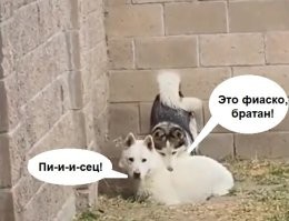 Побег через подкоп не удался