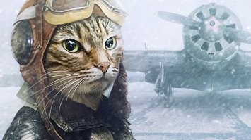 Инженеры выпустили календарь на 2023 с гигантскими кошками