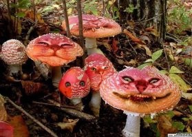 Нейросеть написала сценарий для хоррора "Кротовуха": монстр превращает сибиряков в кротов