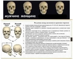 Черный, пошлый и прочий юмор в картинках