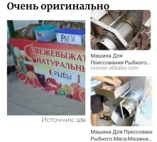 Каламбурные надписи и объявления, которые составляли настоящие гении