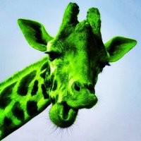 Я тоже умею воссоздавать внешний вид вымерших животных.







А вот так выглядел мамонт, замороженную тушу которого видел в Сибири в 1805 году купец Роман Болтунов. Похож, правда?