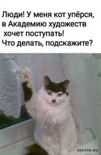 20 дерзких животных, которые плевать хотели на правила