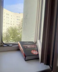 Меня одного смущает как обогнали уплотняющей резинкой профиль оконной коробки?