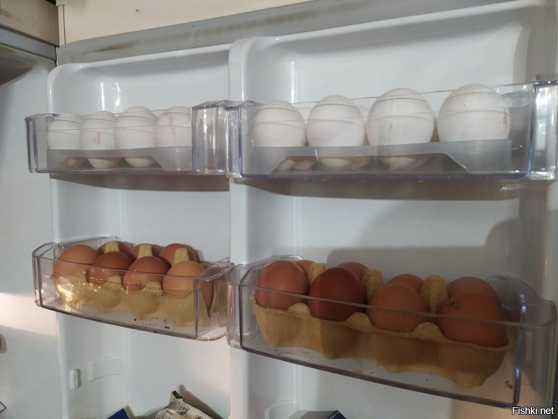 Яйца люблю. И жареные и варёные. Всегда беру яйца СО категории. Иногда СВ, но они редко бывают в магазинах.
Цена за СО у нас от 70 (по скидке) до 110 рублей за десяток.