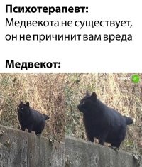 А как же Бинтуронг?
 

Не смог найти, своё фото с ним, давно в тае с ним фоткался, такой прикольный ))
