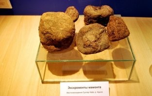 18 ярких фото из прошлого, которые могут вызвать самые разнообразные эмоции