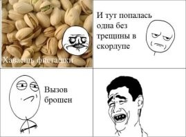 Как растут фисташки и почему их собирают только ночью