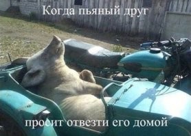 Напомнило старый анекдот на совсем другую тему