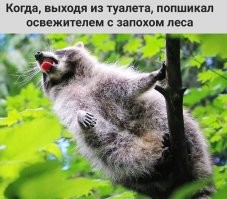 запОхом? Это на каком наречии?