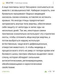 27 любопытных фактов в копилку эрудита
