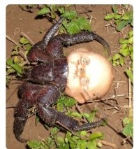 Ночной дозор вспомнил