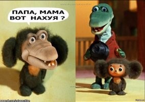 Самые необычные гибриды животных