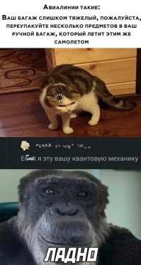 Ага, всё в мире сводится к квантовой запутанности... Даже мемы.