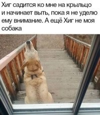 как это не твой, для него ты егоный а для тебя нет, быстро исправляй ситуацию ,погладь и скажи что хороший мальчик)