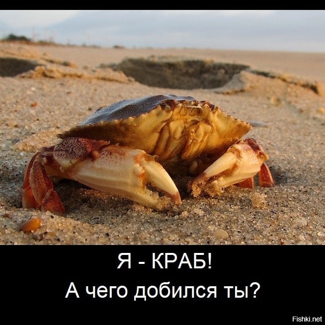 Краб Смешной