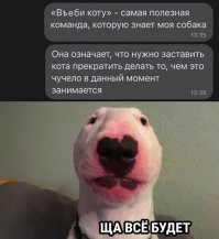 Это гениально! У меня такая же ситуация: взрослый йорик и котишка, которой нет ещё 3 месяцев. В принципе, ситуация схожая: стоит мне на котишку кышкрнуть, когда лезет не туда, пёсик с особым удовольствием включается в кипиш, поэтому уже ходит в статусе законного воспитателя. А вот с командой ещё не опеределились. Но буквально только что, после просмотра поста, на пятёрку выполнил команду "ВЬЕ.б.и.!!", - без лишних подробностей, краткость- сестра таланта