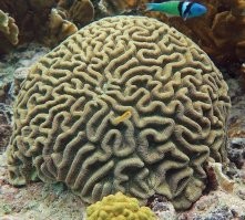 15 познавательных фотографий интересных находок