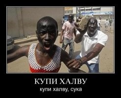 Фотоприколы и прикольные картинки