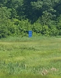 Примечательно что через несколько секунд она бесследно исчезла...