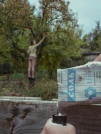 Ночью любые плоды собирать удобней!