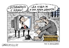 Фотоприколы и прикольные картинки