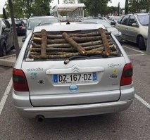 Автовсячина