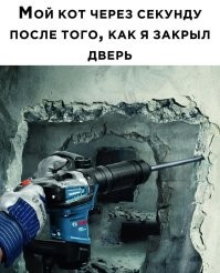 Наверное, потому, что у меня - маленькая кошка...