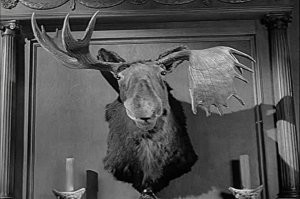 Ну ты лось и олень...