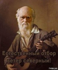 Достойный кандидат на премию Дарвина