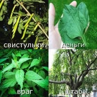 Скрины из соцсетей