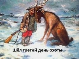 Из-за чего на Аляске приняли закон, запрещающий лосям употреблять алкоголь
