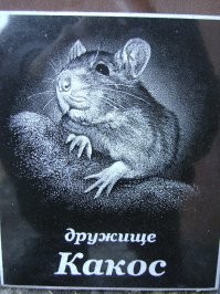 Ну, раз уж кладбищенская тема была затронута, то вот мои "5копеек"...